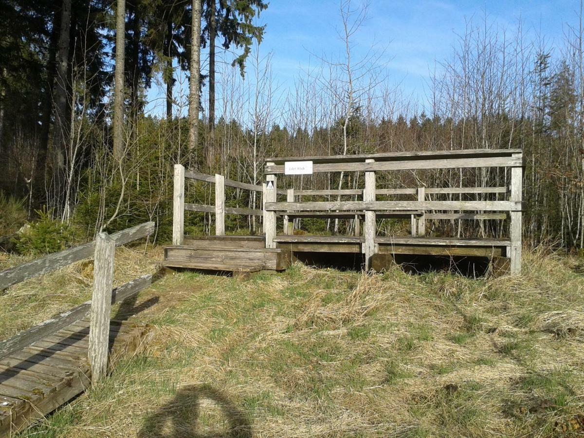 Ferienwohnung Bleialf Экстерьер фото